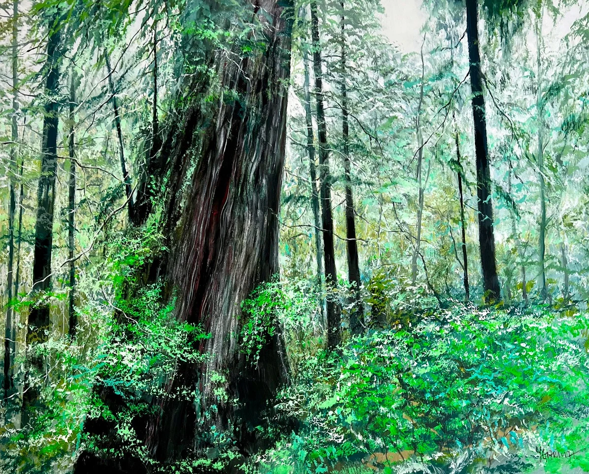 Majesty of the Rainforest